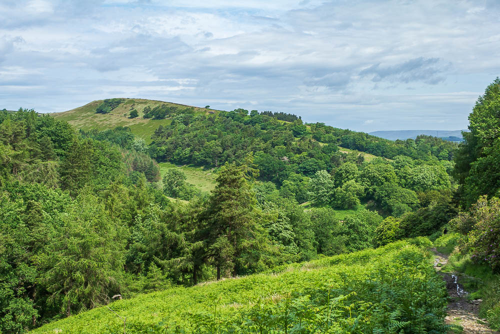 Foxlow Edge Foxlow Edge